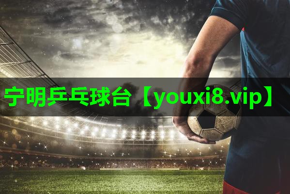 宁明乒乓球台