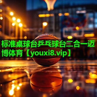 标准桌球台乒乓球台二合一迈博体育