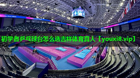 初学者乒乓球台怎么选吉祥体育真人