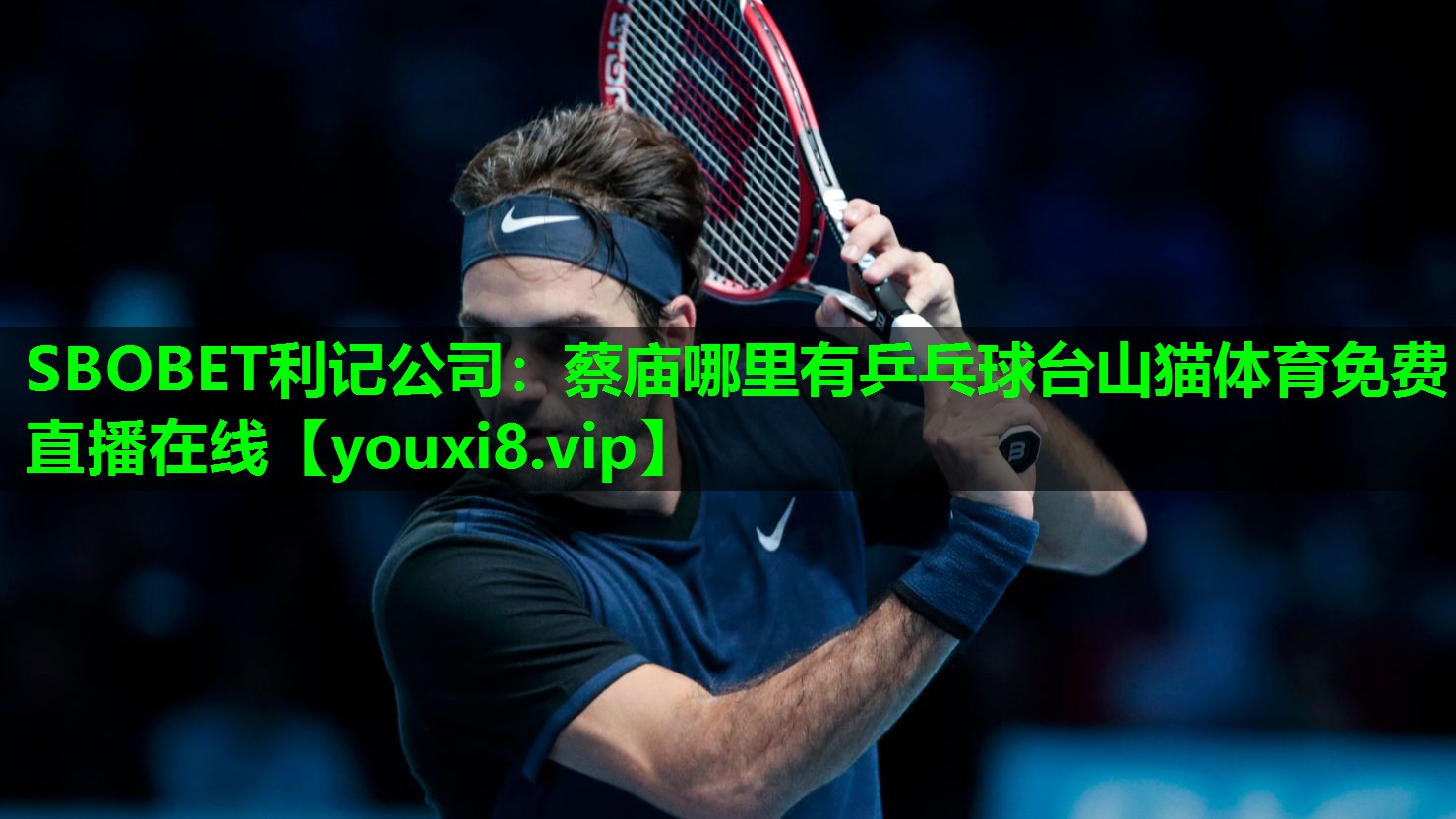 SBOBET利记公司：蔡庙哪里有乒乓球台山猫体育免费直播在线