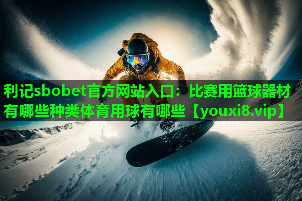 利记sbobet官方网站入口：比赛用篮球器材有哪些种类体育用球有哪些