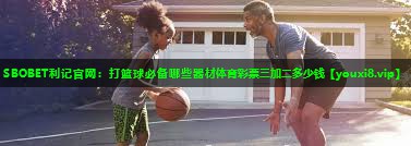 SBOBET利记官网：打篮球必备哪些器材体育彩票三加二多少钱