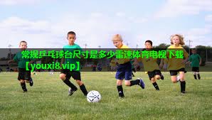 常规乒乓球台尺寸是多少雷速体育电视下载
