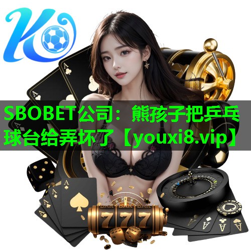 熊孩子把乒乓球台给弄坏了