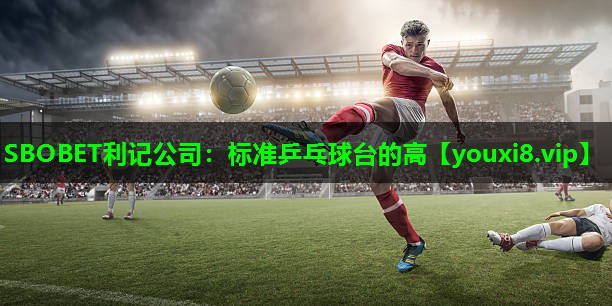标准乒乓球台的高