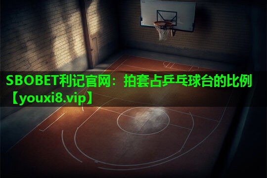 拍套占乒乓球台的比例