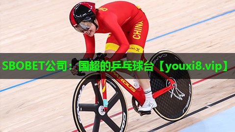 国超的乒乓球台 国超的乒乓球台
