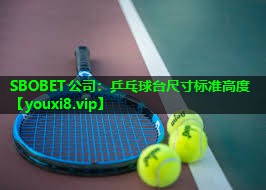 乒乓球台尺寸标准高度 乒乓球台尺寸标准高度