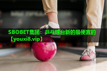 乒乓球台新的最便宜的 乒乓球台新的最便宜的